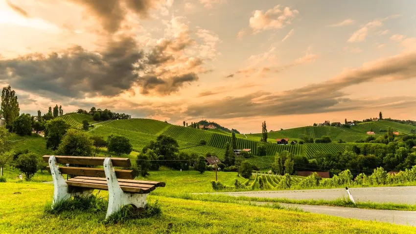 a bench overlooking rolling vineyards