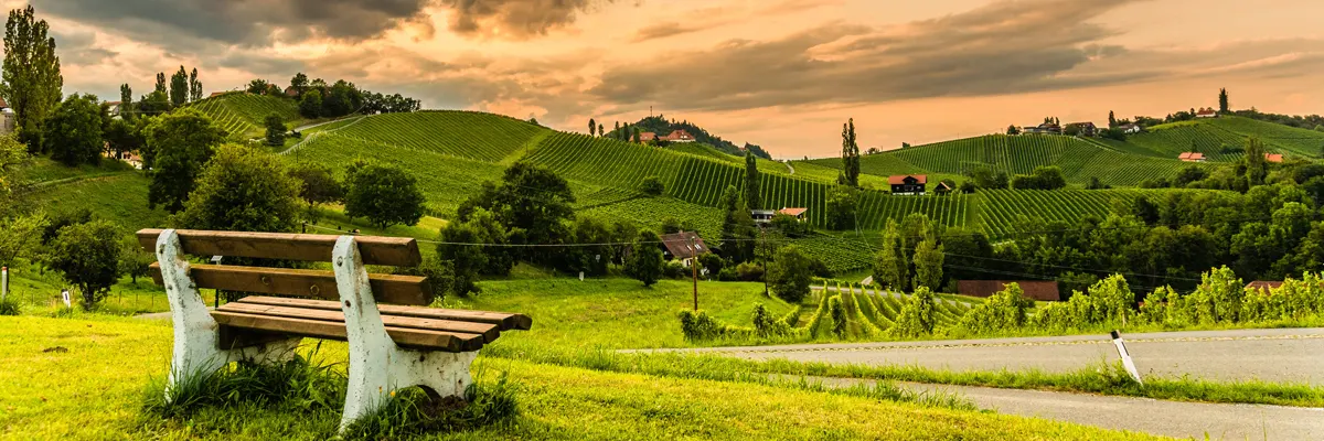 a bench overlooking a vineyard at sunset near Graz, Austria